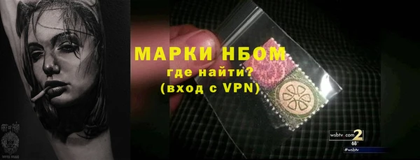 стафф Кодинск