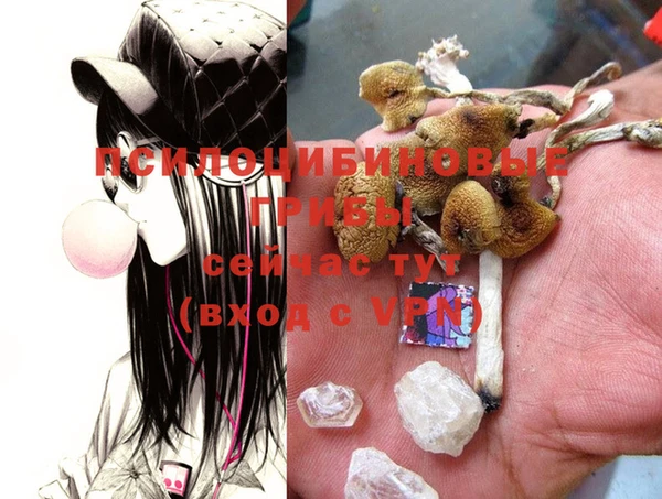 кристаллы Коряжма