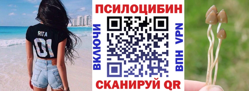 где продают наркотики Малоархангельск Галлюциногенные грибы мицелий